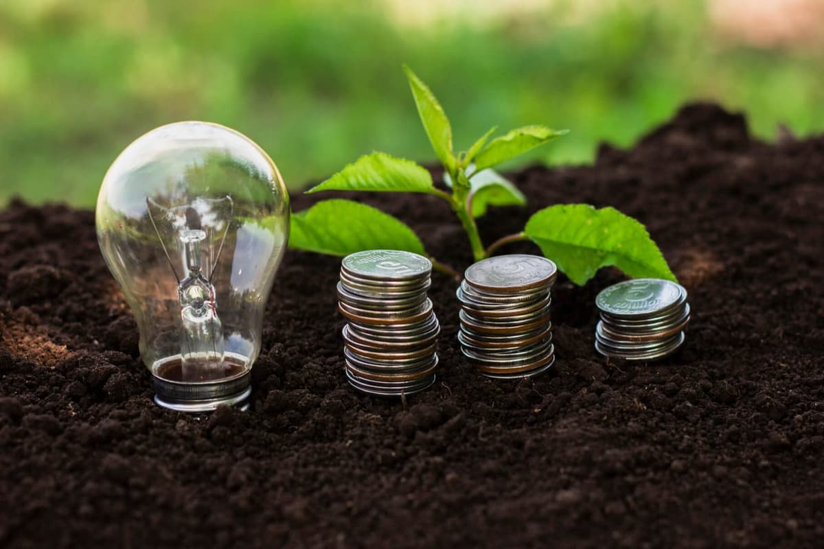 Green Economy & Climate Finance